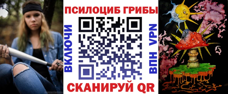 Галлюциногенные грибы прущие грибы  Тимашёвск 